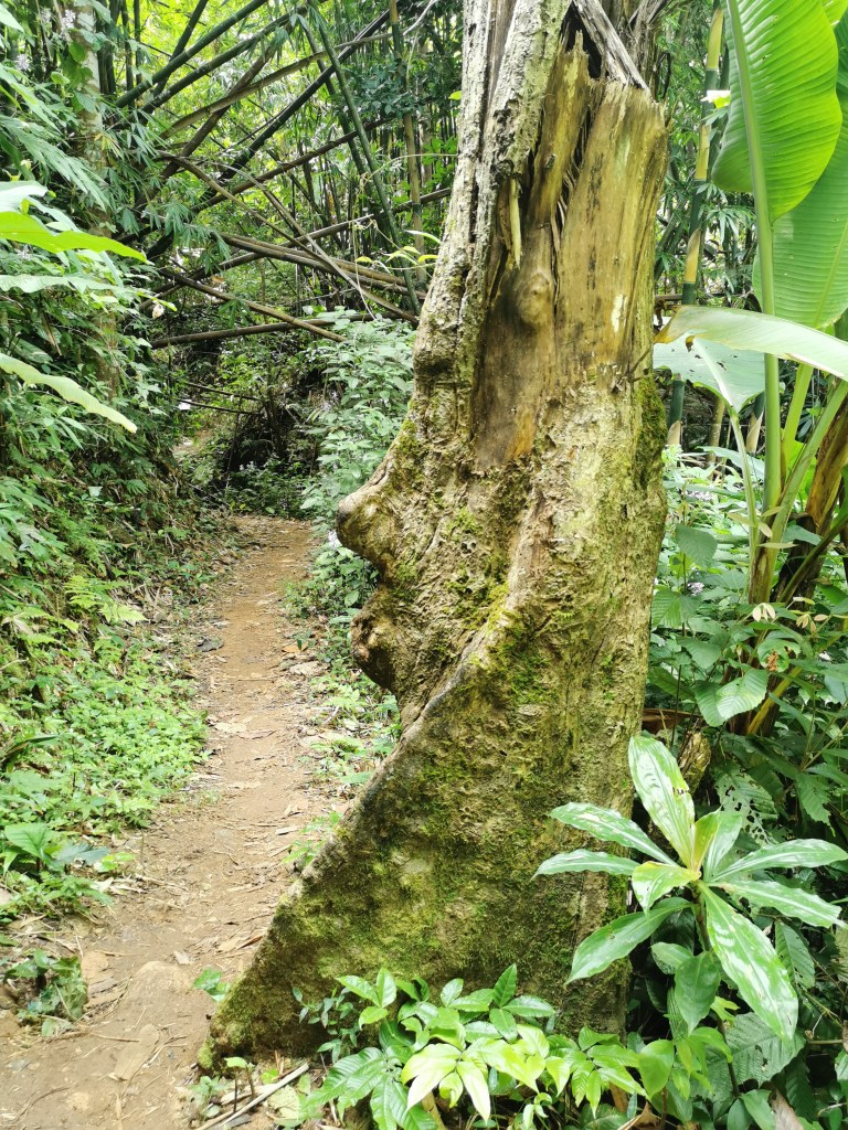 Best Thai Experience Travel Agency Thailand Chiang Mai english speaking guide private tour trip trekking