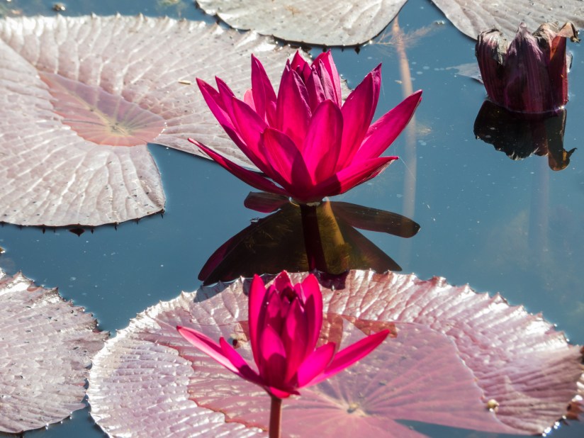 Best Thai Experience Travel Agency Thailand Chiang Mai english speaking guide private tour trip