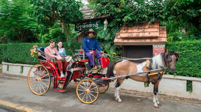 Best Thai Experience Travel Agency Thailand english speaking guide private tour trip Lampang horse 