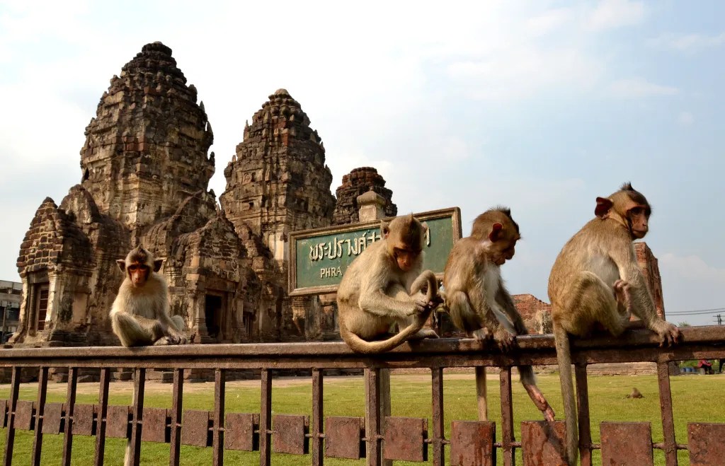 Best Thai Experience Travel Agency Thailand Ayuthaya Lopburi english speaking guide private tour trip