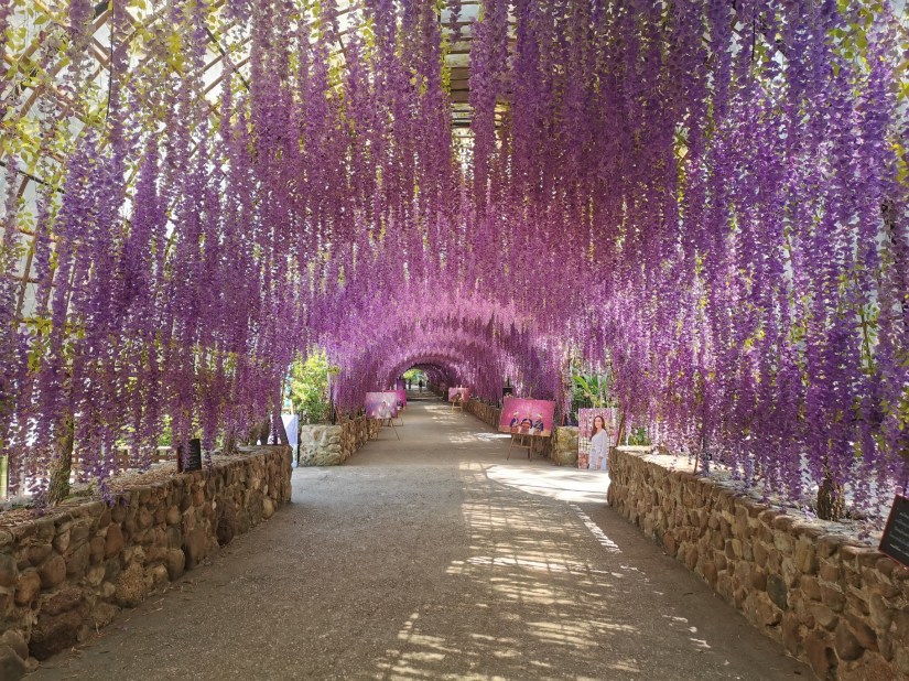 Best Thai Experience Travel Agency Thailand english speaking guide private tour trip Chiang Rai Rai Chern Tawan meditation center