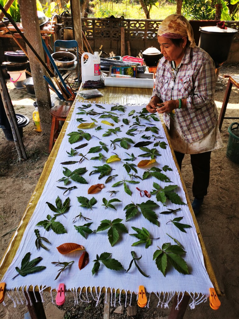 Best Thai Experience Travel Agency Thailand english speaking guide private tour trip Chiang Rai off the beaten track ecoprint workshop