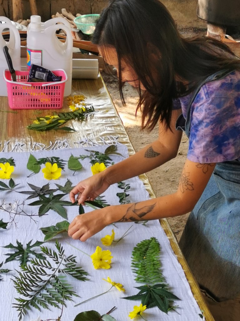 Best Thai Experience Travel Agency Thailand english speaking guide private tour trip Chiang Rai off the beaten track ecoprint workshop