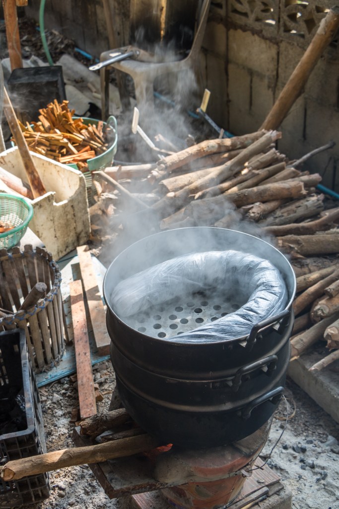 Best Thai Experience Travel Agency Thailand english speaking guide private tour trip Chiang Rai off the beaten track ecoprint workshop